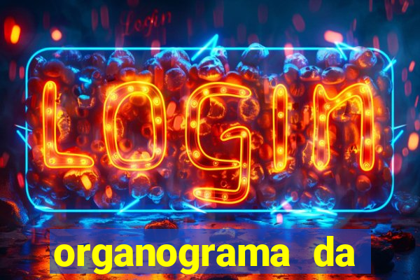 organograma da cacau show