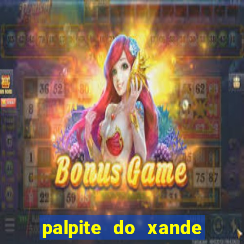 palpite do xande de hoje