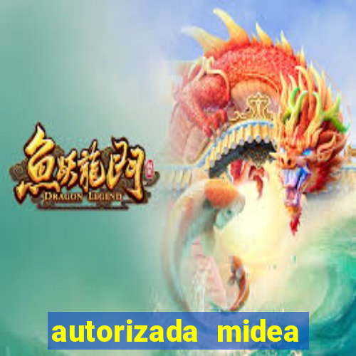 autorizada midea porto alegre