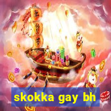 skokka gay bh