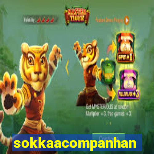 sokkaacompanhantes