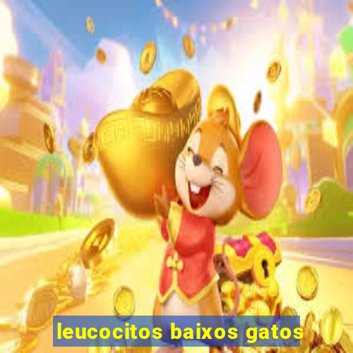 leucocitos baixos gatos