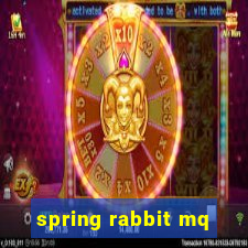 spring rabbit mq