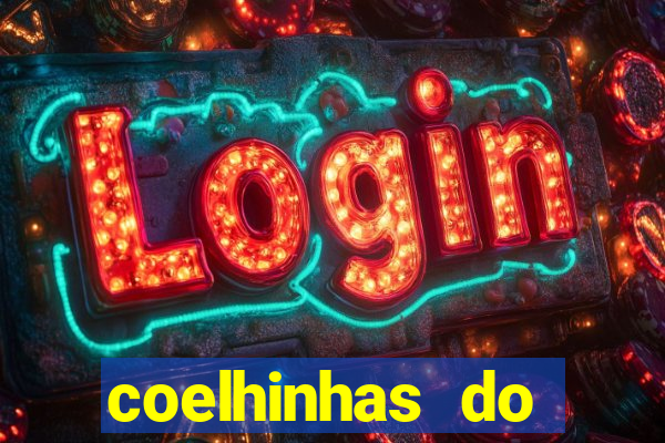 coelhinhas do brasil recife