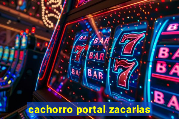 cachorro portal zacarias