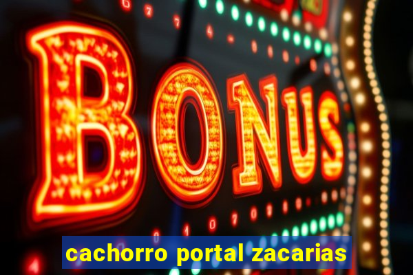 cachorro portal zacarias