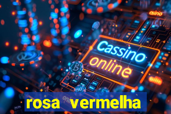 rosa vermelha (letra e cifra)