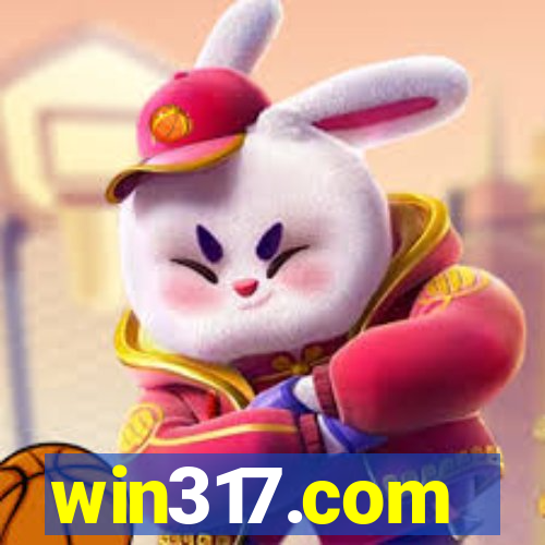 win317.com