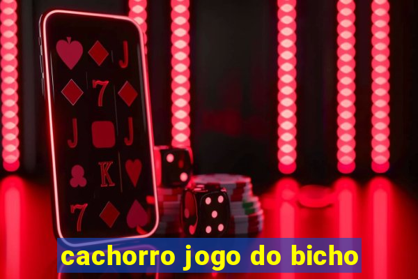 cachorro jogo do bicho