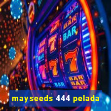 mayseeds 444 pelada