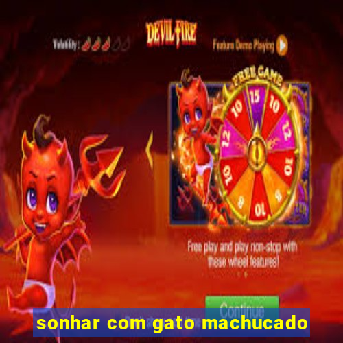 sonhar com gato machucado