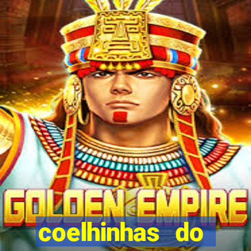 coelhinhas do brasil site