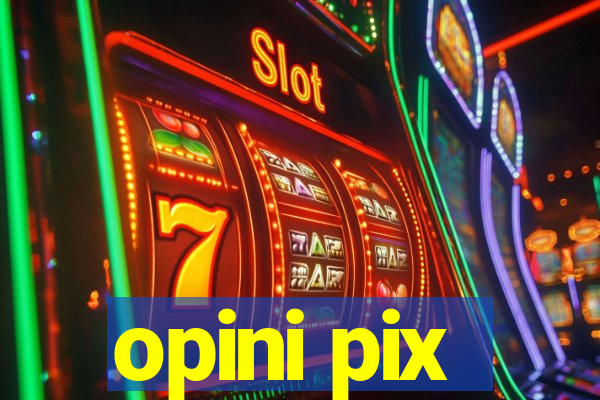 opini pix