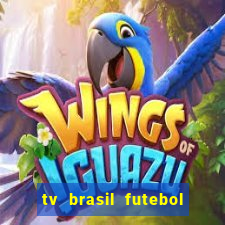 tv brasil futebol da hora