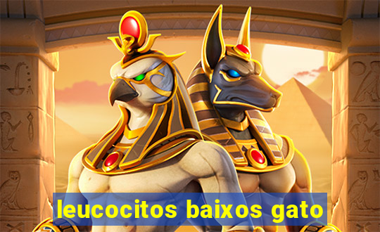 leucocitos baixos gato