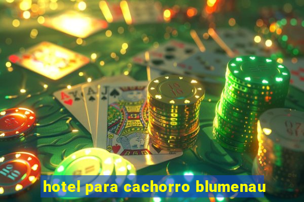 hotel para cachorro blumenau