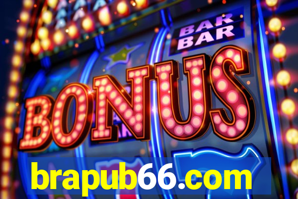 brapub66.com