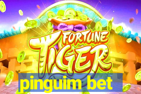 pinguim bet