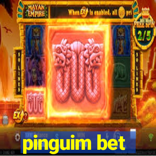 pinguim bet