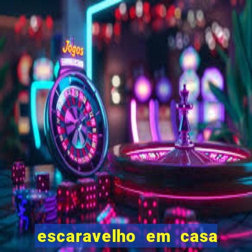 escaravelho em casa significado espiritual