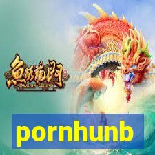 pornhunb