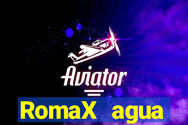 RomaX agua sanitaria fispq agua sanitaria romax