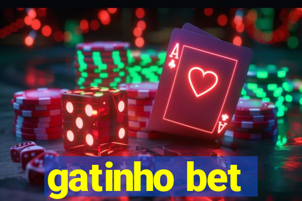 gatinho bet