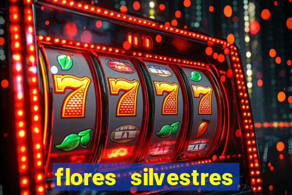 flores silvestres desbravadores desbravadores 25 flores silvestres e seus nomes