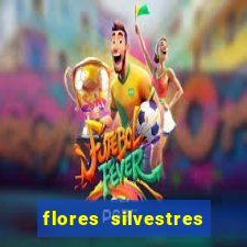 flores silvestres desbravadores desbravadores 25 flores silvestres e seus nomes