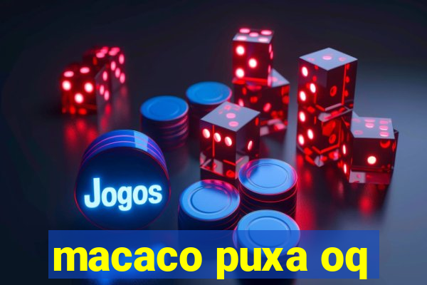 macaco puxa oq