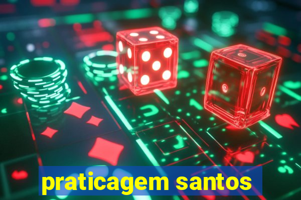 praticagem santos