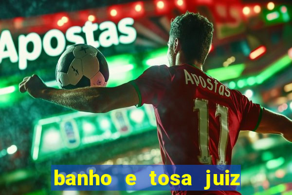 banho e tosa juiz de fora