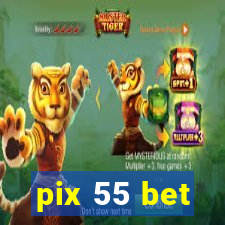 pix 55 bet