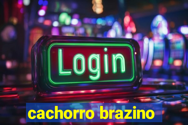 cachorro brazino