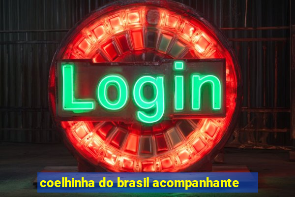 coelhinha do brasil acompanhante