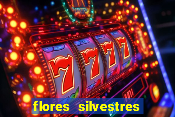 flores silvestres desbravadores desbravadores 25