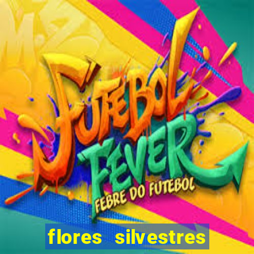 flores silvestres desbravadores desbravadores 25