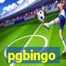 pgbingo