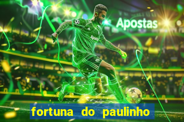 fortuna do paulinho do roupa nova