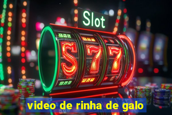 video de rinha de galo