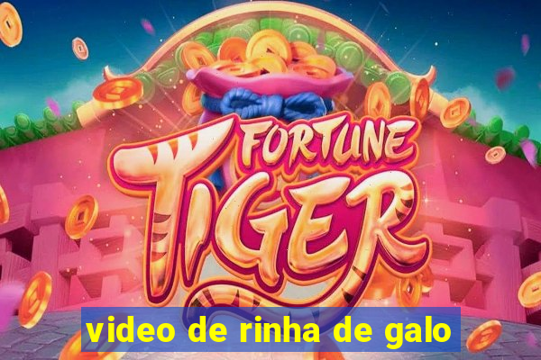 video de rinha de galo