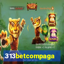 313betcompaga