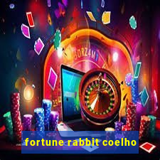 fortune rabbit coelho