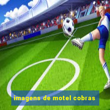 imagens de motel cobras