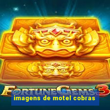 imagens de motel cobras