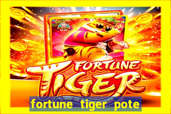 fortune tiger pote de ouro completo