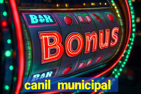 canil municipal porto alegre