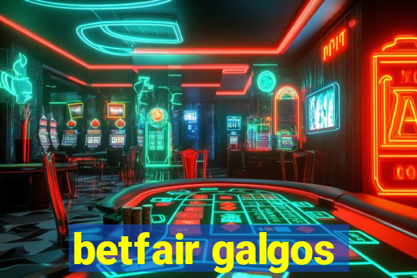 betfair galgos