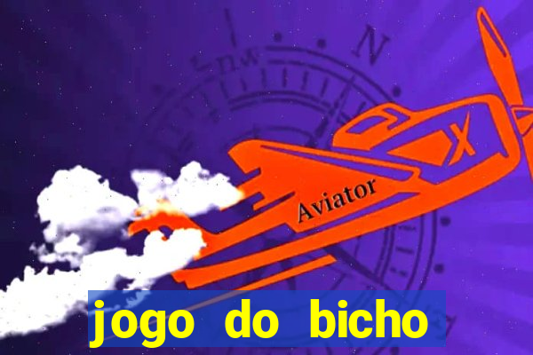 jogo do bicho documentario globoplay