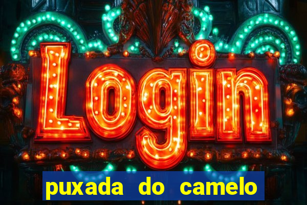 puxada do camelo jogo do bicho